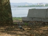 膳所城跡公園から琵琶湖（南側）
